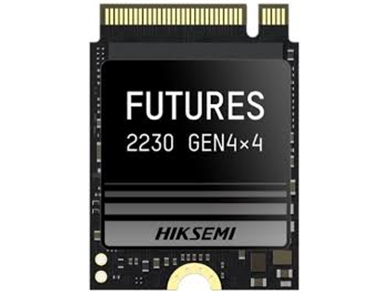 DISCO DE ESTADO SOLIDO HIKSEMI, FUTURE, M.2, 2230